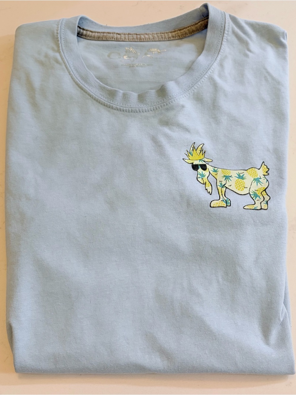 GOAT T-SHIRT Size Small Light Blue With Pineapple Details  Great Detailed Back